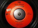 GARAGE SURF - THE NATION ROCKING SHADOWS - ANESTHESIA - 1960's Florida RARE
