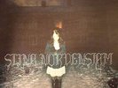 NORDENSTAM, Stina - The World Is Saved - limited hand-numbered LP + 7