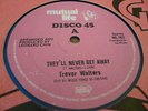 Trevor Walters They'll Never Get Away Rare Killer Roots 12