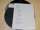 UK SUBS ?– FLOOD OF LIES (RARE VINYL TEST PRESSING)