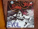SONIC YOUTH * EVOL * LP vinyl neuwertig SAMMLER rar