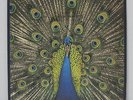 THE BLUETONES - Expecting To Fly VINYL LP 1996 UK ORIG w/ card, inner, insert