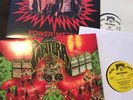 PANTERA SYSTEM OF A DOWN SLAYER METALLICA HELMET MANCHU BIOHAZARD DANZIG PRONG