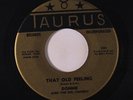 DONNIE & DEL-CHORDS: That Old Feeling / Transylania Mist 45 Vocal Groups