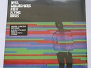 Noel Gallagher's High Flying Birds In The Heat Of The Moment Record Store Day