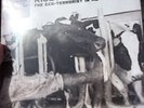 Rise Against - The Eco-Terrorist In Me - Record Store Day RSD 2015 - Very Rare