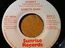 7” SANDY'S GANG -Hungry- PATRICK ADAMS Rare ’76 Disco Boogie Modern Funk Soul 45