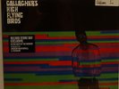 NOEL GALLAGHERS HIGH FLYING BIRDS IN THE HEAT OF THE MOMENT RSD 2015 OASIS