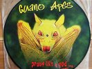 Guano Apes - Proud Like A God, German rare Picture Disc, ex Zust.