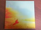 The Flaming Lips - The Terror - Silver Colored Vinyl Record LP