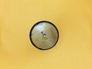 ELVIS PRESLEY My Happiness (78 RPM) Third Man RSD 2015 10