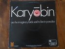 SPONTANEOUS MUSIC ENSEMBLE KARYOBIN RARE ORIG 1968 UK FREE JAZZ PINK ISLAND LP