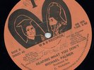 KILLER DIGITAL ROOTS REGGAE - LICK SHOT - MICHAEL PALMER - W&B 12