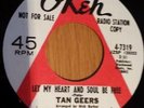 TAN GEERS-WHAT'S THE USE OF ME TRYING-  DEMO 70s PRESSING.