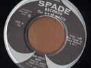 SPADE rockabilly 45  VERN PULLENS - Bop Crazy Baby + It's My Life   NICE