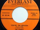 CHARTS 45 You're The Reason / I've Been Wondering NEAR MINT Doo Wop cc1040