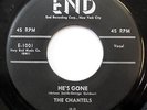 the CHANTELS 45 He's Gone / The Plea END Doo Wop Girl Group cc1048