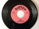 The Dynamics - Misery on Big Top Label : Original 7