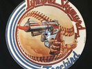 1976 NM Lynyrd Skynyrd Freebird UK PICTURE DISC 12