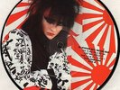 SIOUXSIE SIOUX (AND THE BANSHEES) interview SIOUX 2 picture disc uk 7