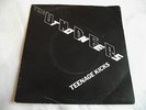 THE UNDERTONES   TEENAGE KICKS ** 1978 SIRE 45