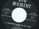 RARE  R&B DOO WOP   THE CHANTS  