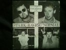 THE BLOOD-STARK RAVING NORMAL.PUNK OI SKINHEAD NO FUTERE BLITZ GONADS BUSINESS