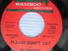 The Wonders DOO WOP Soul PROMO 45 Please Don't Cry NEAR-MINT vinyl cc919 HEAR IT