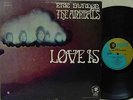 ERIC BURDON AND THE ANIMALS - Love Is LP (RARE US Pressing on MGM, Psych)