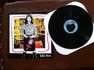 Julie Ruin album LP Kathleen Hanna Bikini Kill vinyl