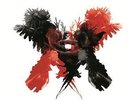 KINGS OF LEON**ONLY BY THE NIGHT (GATEFOLD/180 GRAM)**2 VINYL SET