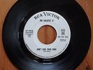 GARAGE PSYCH - The GALAXIES IV Don't Lose Your Mind / Picadilly Circus RCA promo