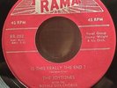 The Joytones - Is This Really The End / Gee What a Boy Original 45 on Rama