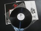 Radical Dance Faction - Borderline Cases - Vinyl LP Album  RDF DUB PUNK P.A.I.N.