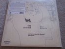 GUY SKORNIK - POUR PAUWELS - PSYCH / EXPERIMENTAL ROCK - NEW VINYL LP RECORD