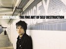 Jesse Malin - Fine Art Of Self-Direct Metal Master [Vinyl New]