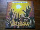 WELLBORN WE GONNA DO IT LP PRIVATE AFRO PSYCH COSMIC DISCO BOOGIE MONSTER ??