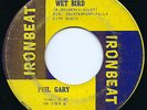 PHIL GARY - HEAR IT - 1967 - WET BIRD / COLUMBUS OHIO FUZZ GARAGE