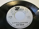 Dean Barlow 7Arts 704 Little Sister