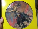 MOLLY HATCHET beatin the odds LP picture disc