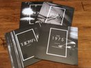 The 1975 RSD Clear Vinyl 12 