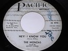 The Monzas: Hey I Know You / Forever Walks A Drifter 45 - Soul Popcorn