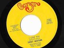 Sweet Mixture on Bazar Records 45 RPM Funk Soul House Of Fun/I Love You
