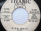 HEYBURNERS Bird Walk Mike CURB Davie ALLAN Inst Hot Rod Surf PROMO 45 w822 HEAR