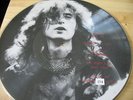 Led Zeppelin trampled underfoot stairway to heaven picture disc 4 records