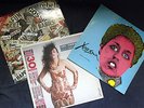 X Ray Spex, Sham 69, Undertones LPs