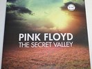 PINK FLOYD 