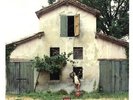 CCCP - Fedeli Alla Linea ?– Annarella 7