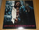 LENNY KRAVITZ  ARE YOU GONNA GO MY WAY 1993 VINYL LP EXCELLENT CONDITION.