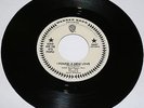 Rare Garage/ Ognir And The Nite People/